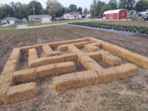 Straw Maze